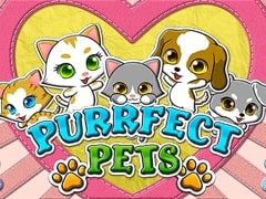 Purrfect Pets